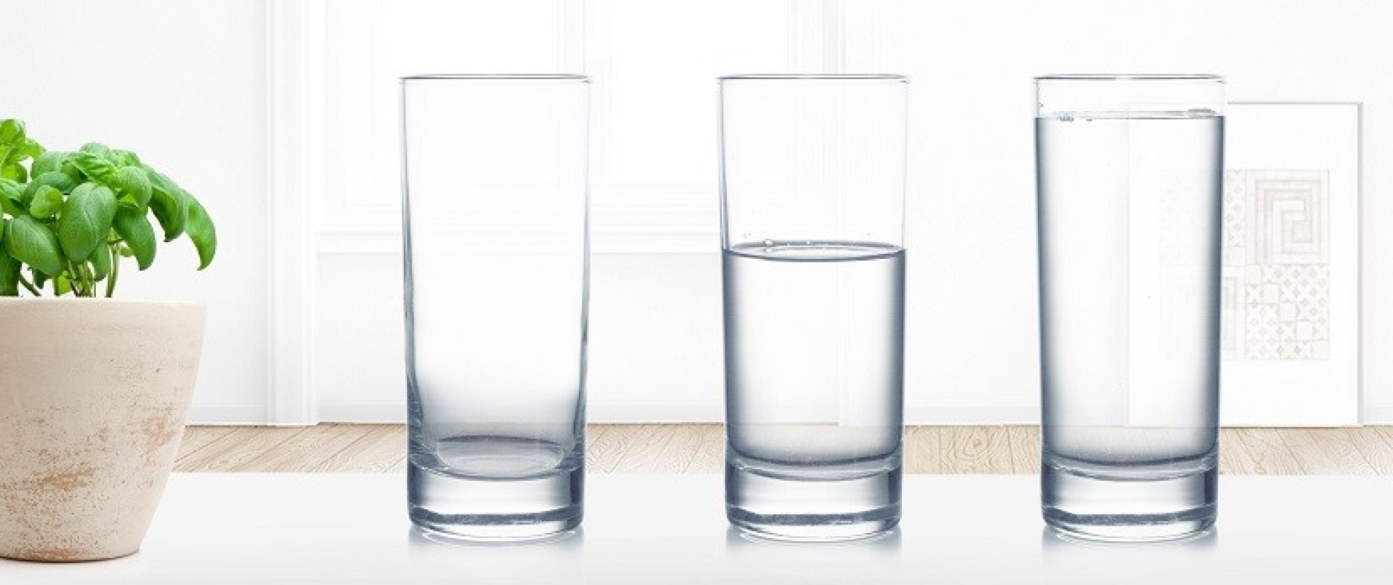 AquaSensor – Skuteczne i oszczędne mycie pod kontrolą sensorów